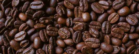 Arabica vs Robusta Coffee: What’s the Difference?